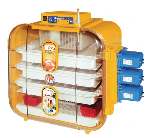 INCUBATOR COVATUTTO 162 ANALOGIC