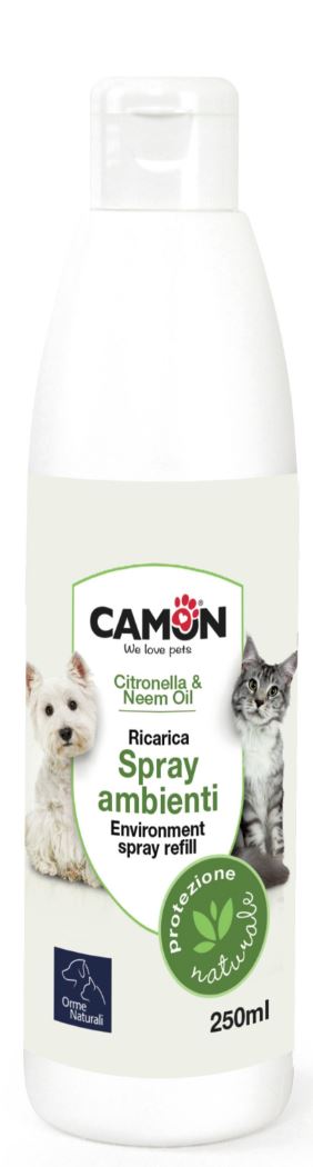 current product image