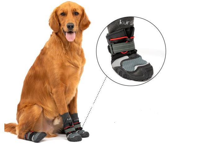 DOG SHOE 2 PACK MEDIUM