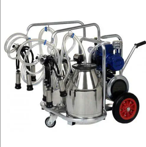 current product image
