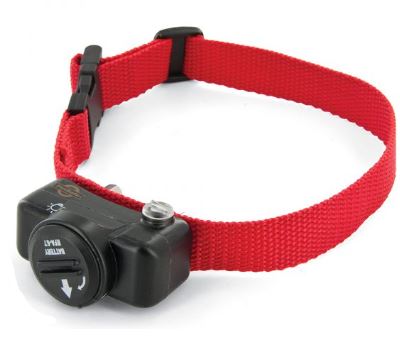 PIG19-10764 DELUXE ULTRALIGHT EXTRA RECR