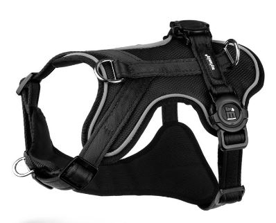 MEMOPET BLACK H-HARNESS S