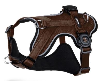 MEMOPET BROWN H-HARNESS M