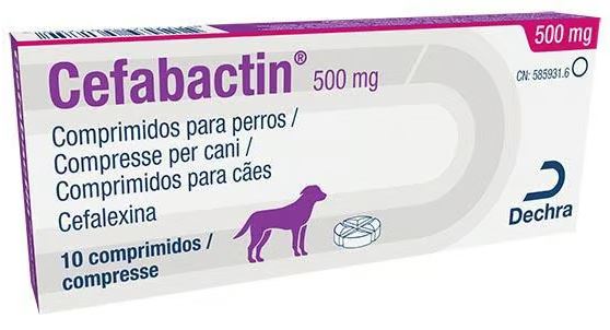 CEFABACTIN 500MG X 10 TABS
