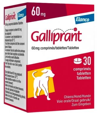 GALLIPRANT 60MG X 30 TABS