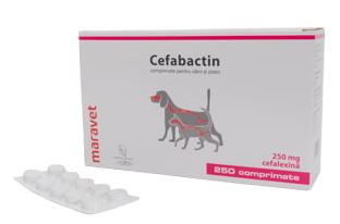 CEFABACTIN 250MG X 10 TABS