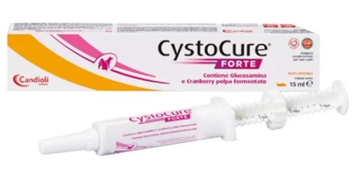 CYSTOCURE FORTE PASTE 15ML