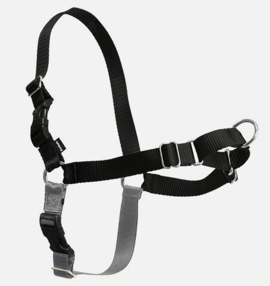 EASYWALK DOG HARNESS SMALL/MEDIUM