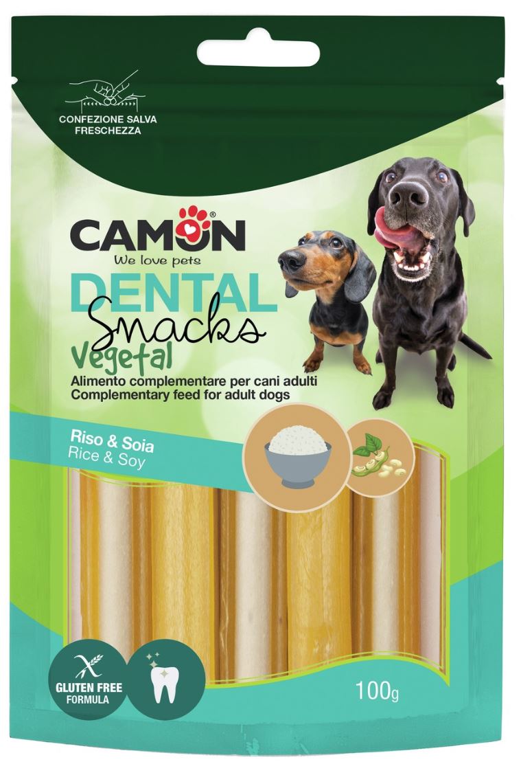 AE323 BAUVEG  2 COLOUR DENTAL STICK