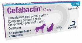 CEFABACTIN X 50MG X 10TABS