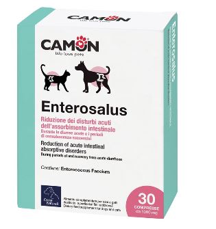 G889 ENTEROSAULUS 1GR 30TABS
