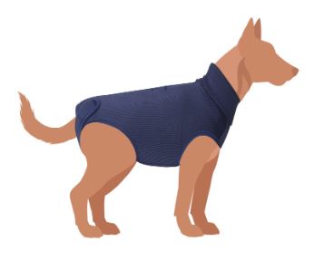 current product image
