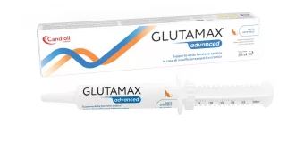 GLUTAMAX ADVANCED PASTE 30ML