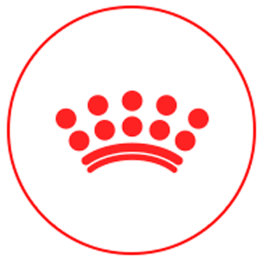 current product image