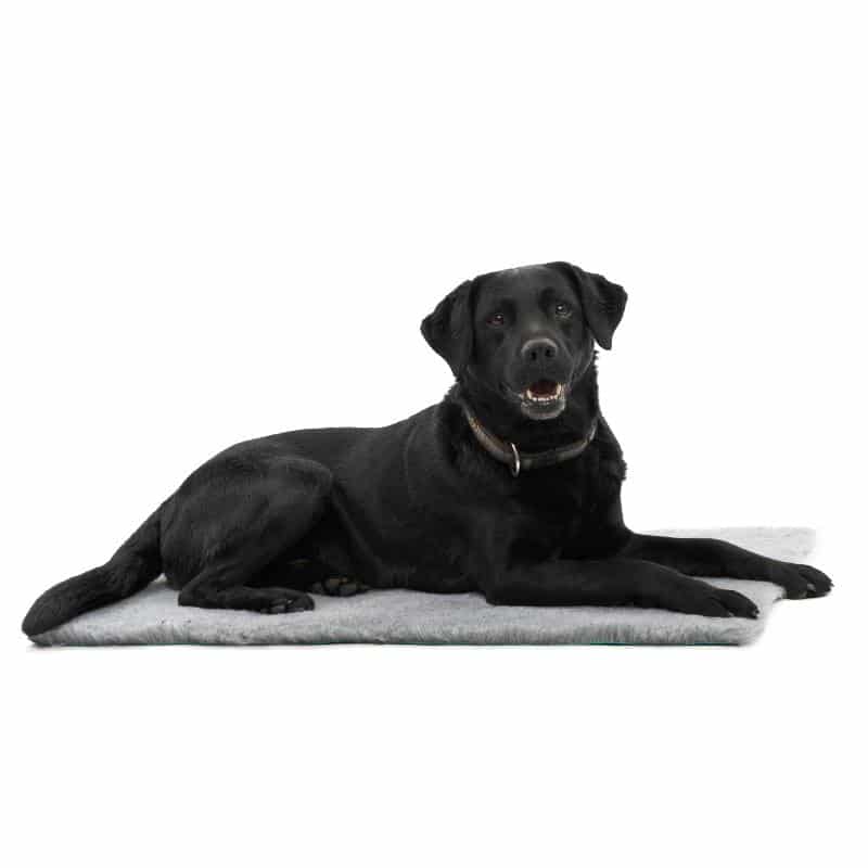current product image