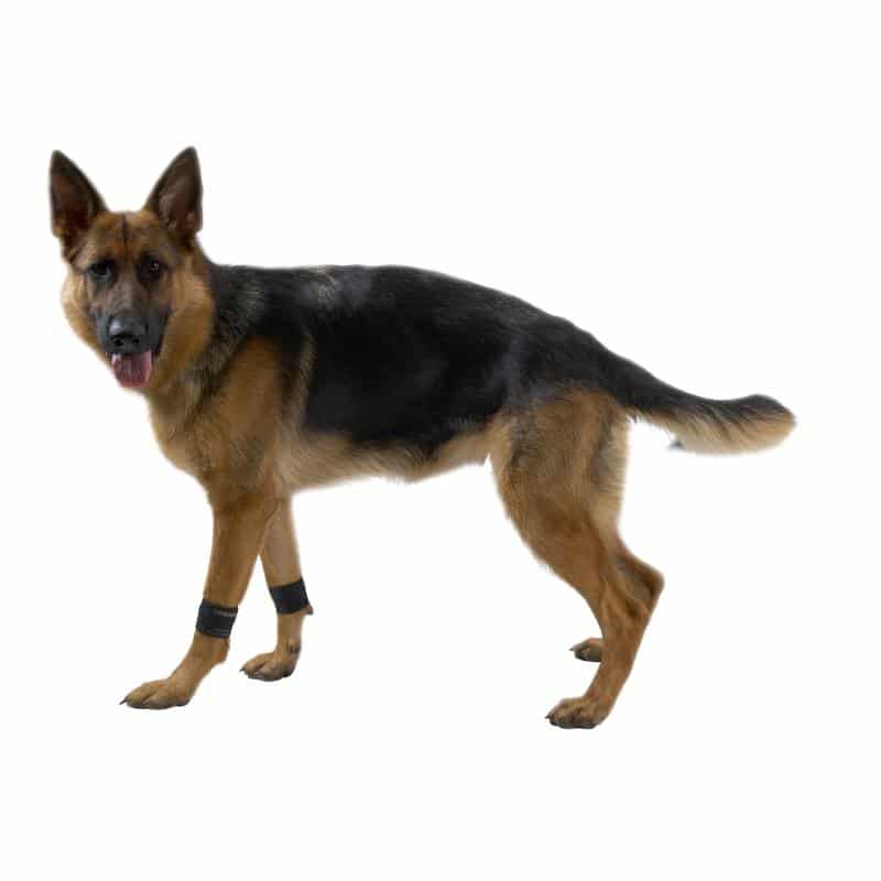current product image