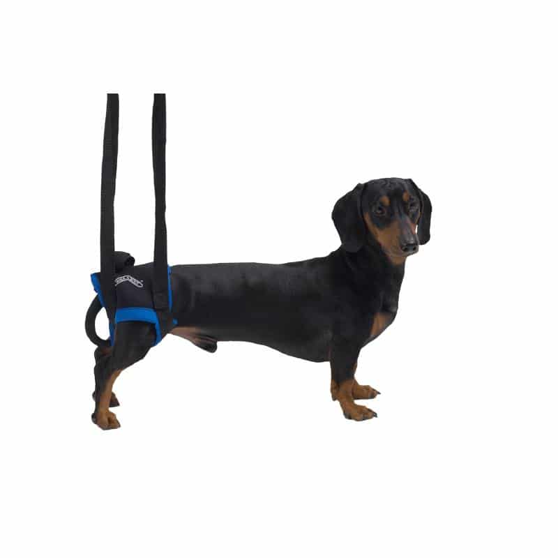 WALKABOUT REHAB LIFT HARN HIND MEDIUM