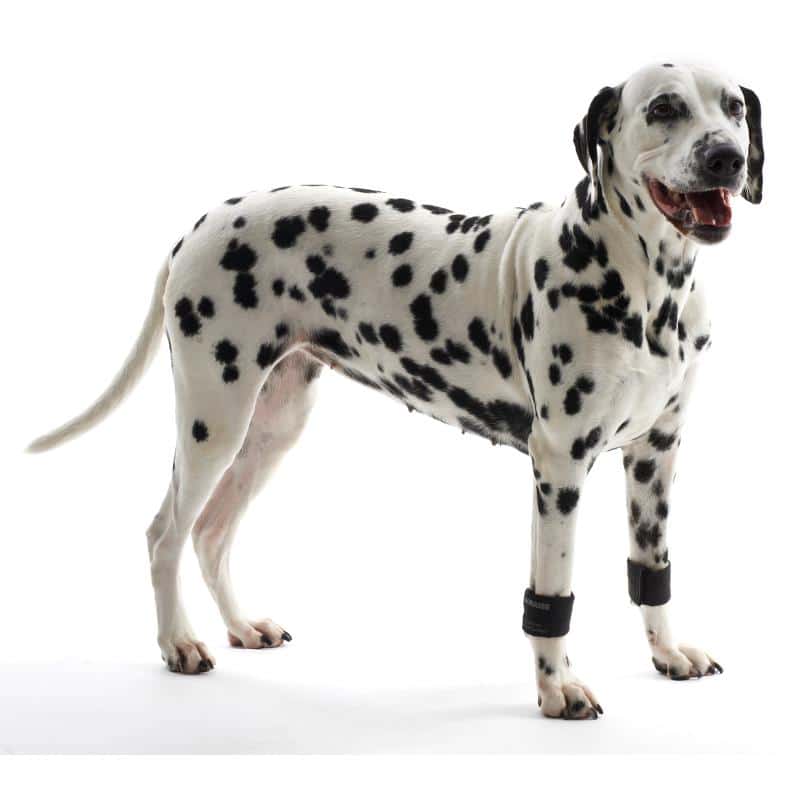 current product image