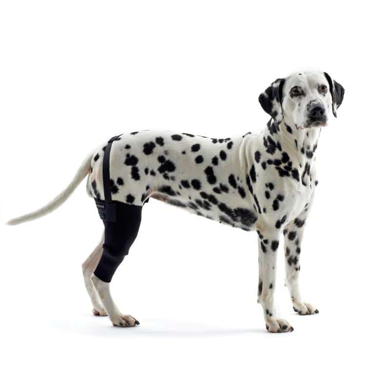 current product image