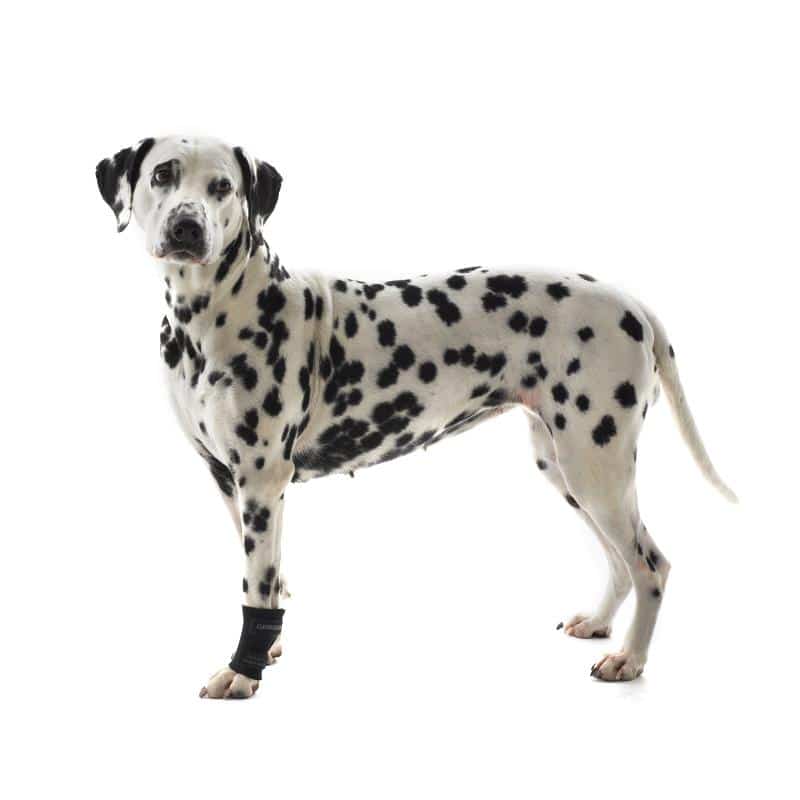 current product image