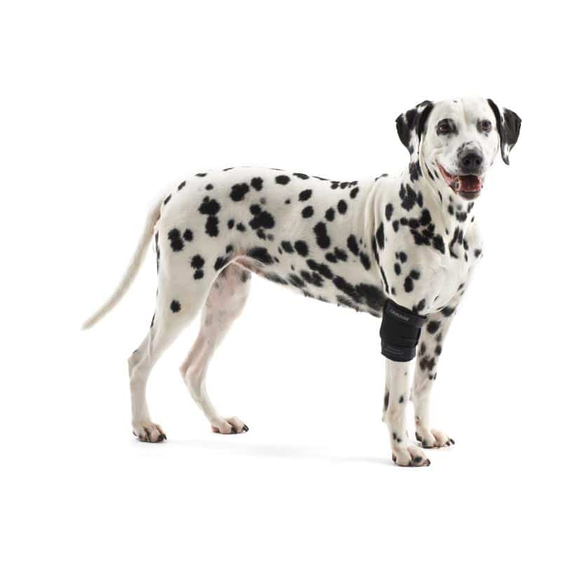 current product image