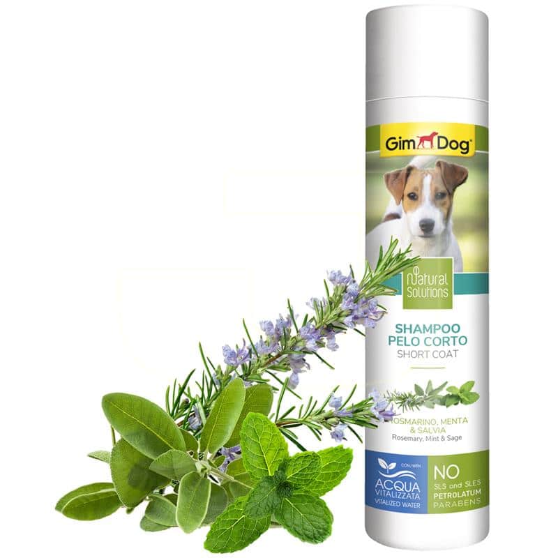 current product image