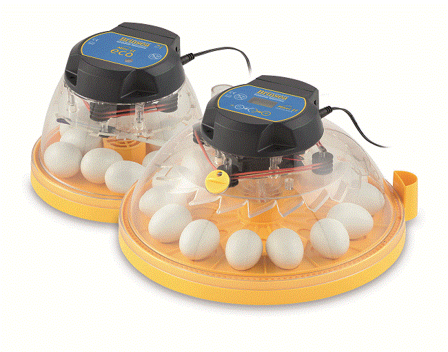 BRINSEA MINI II ADVANCE INCUBATOR