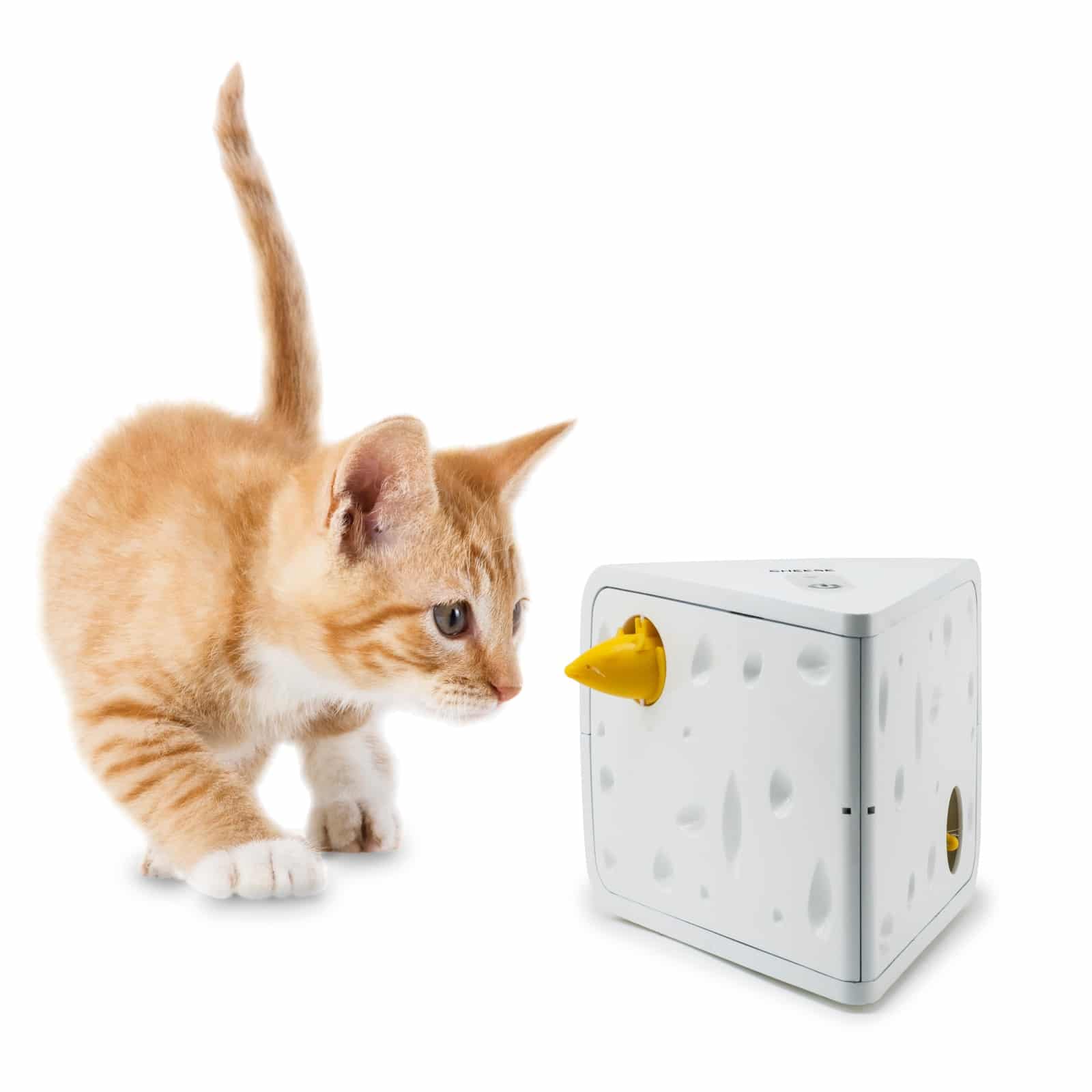 PTY19-15241 CHEESE INTERACTIVE TOY