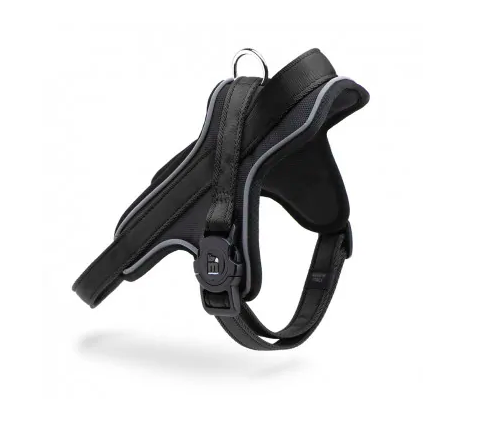 current product image