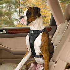 ENHANCED STRENGTH TRU FIT CAR HARNESS L