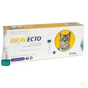 BRAVECTO CAT 112.5MG 1.2-2.8KG