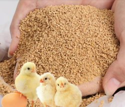 KPH BROILER STARTER 25KG