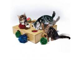 AG005 CAT TOY