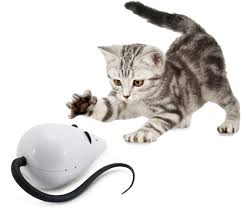 FROLICAT ROLORAT CAT TOY