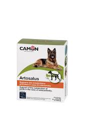 G876 ARTOSALUS 60 TABS