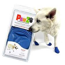 PAWZ MEDIUM 12-PACK