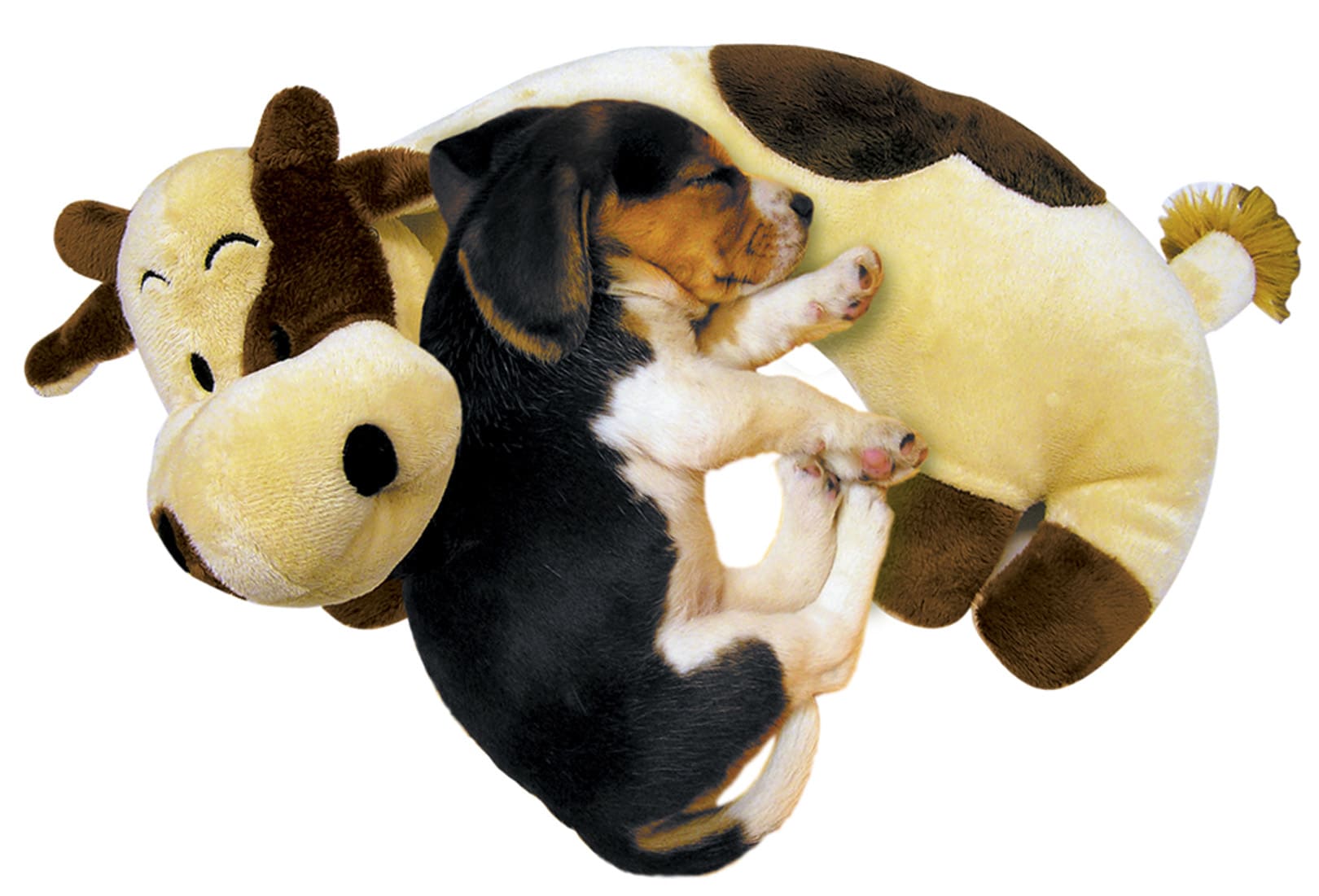current product image