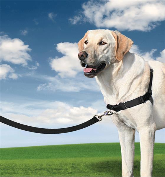 current product image