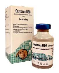 CASTOREX 20 DOSES