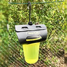 VESPACATCH TRAP
