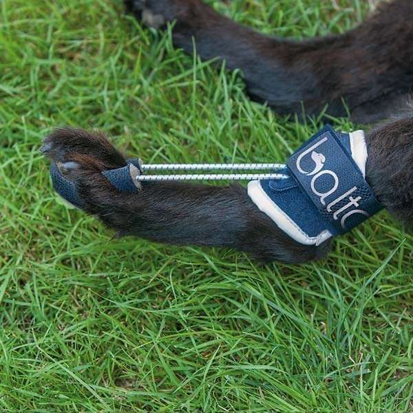 BALTO HYPERFLEXION BRACE S