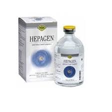 HEPAGEN
