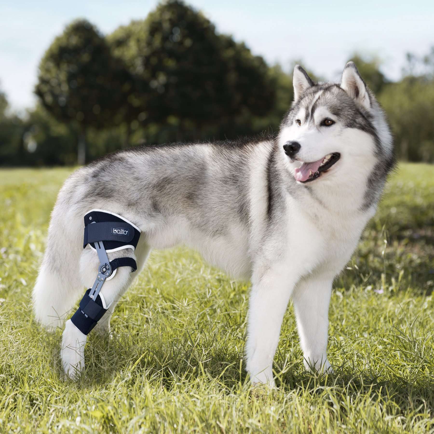 BALTO LIGATEK KNEE BRACE LEFT S