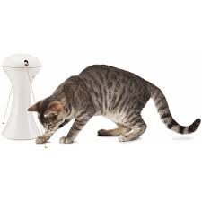 FROLICAT MULTILASER TOY