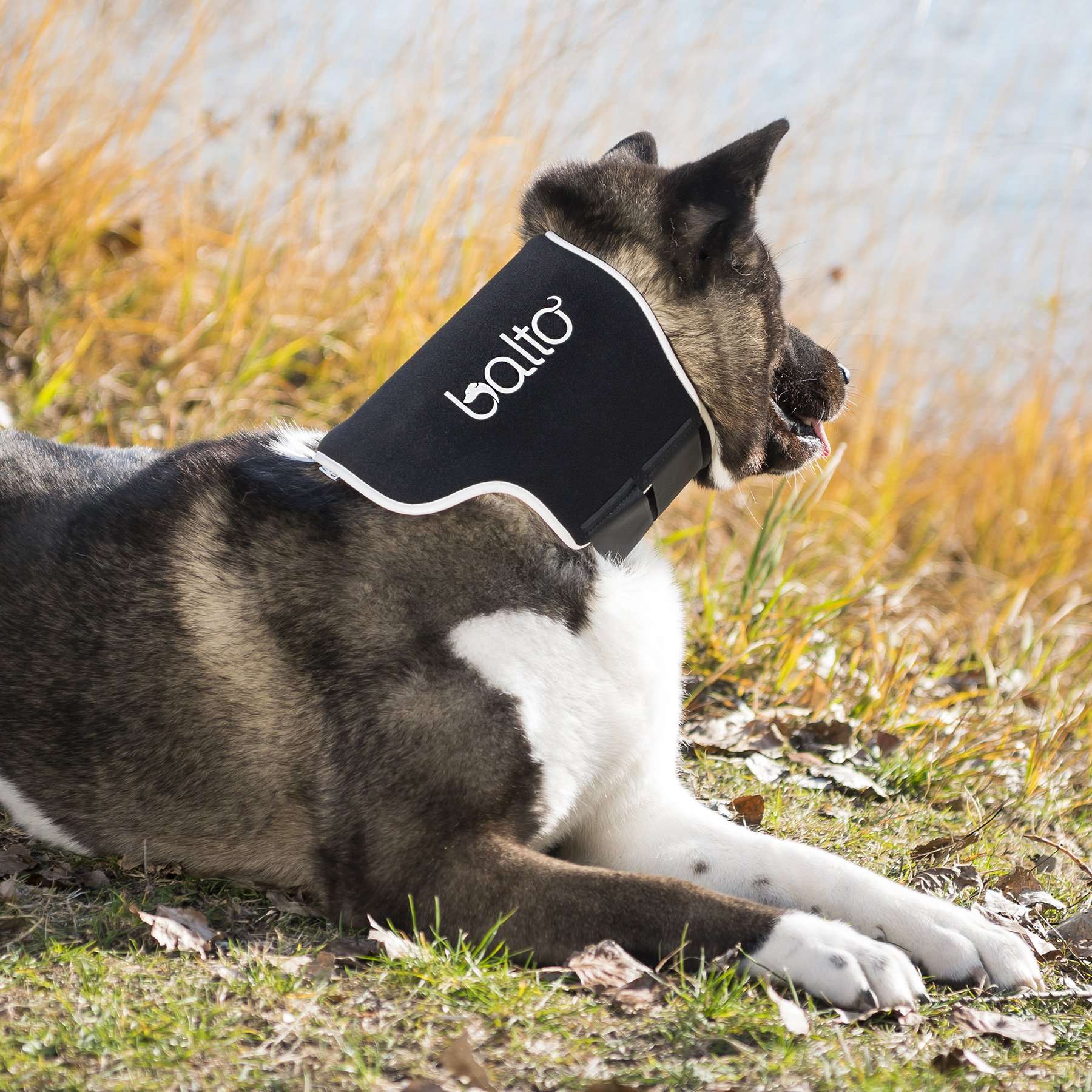 BALTO NO LICK NECK BRACE FLEX BRACE XS