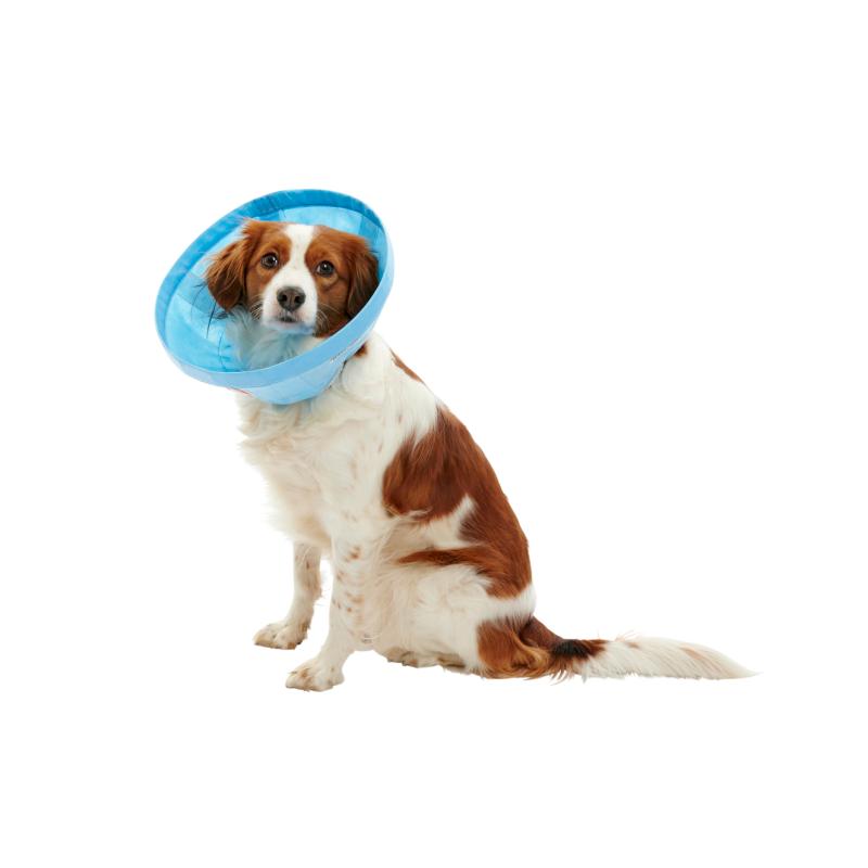 BUSTER FLEX COLLAR 12.5CM