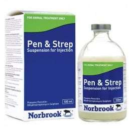 NORBROOK PEN & STREP INJECTABLE 100ML
