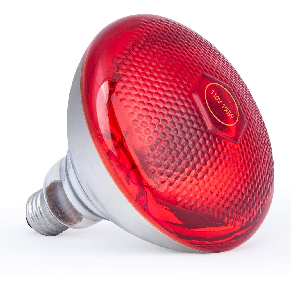 PHILIPS I.R. LAMP 100W RED/CLEAR