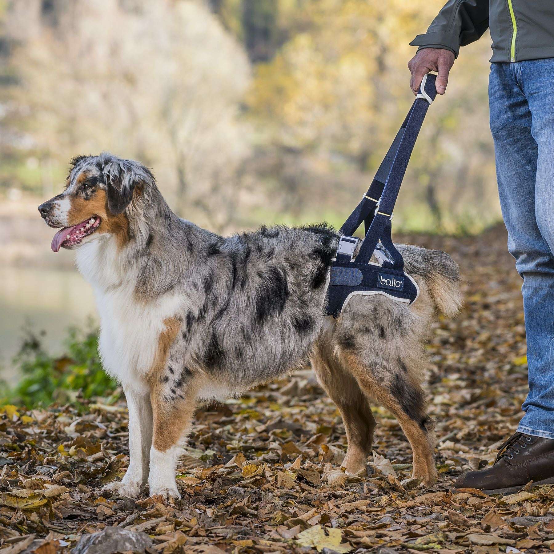 BALTO UP REAR HARNESS L