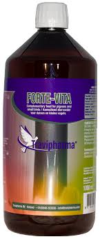 TRAVIPHARMA FORTE-VITA 1000ML
